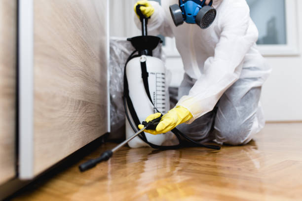 Best Cockroach Control Services  in Nth Bend, OR