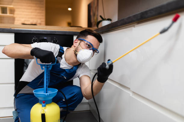 Best Affordable Pest Control Services  in Nth Bend, OR