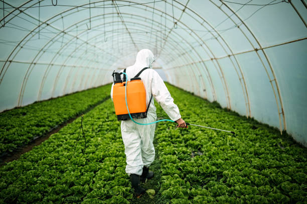 Best Pest Control Near Me  in Nth Bend, OR