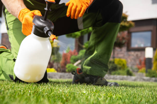 Best Mosquito Control Services  in Nth Bend, OR