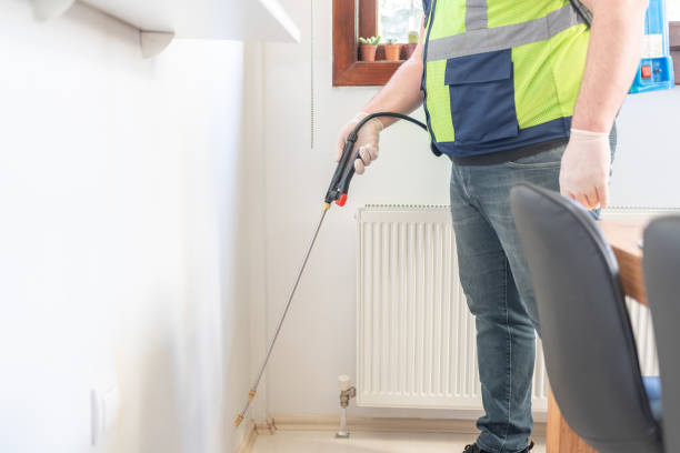 Best Flea Control Services  in Nth Bend, OR