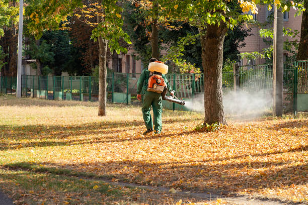 Best Pest Removal Services  in Nth Bend, OR