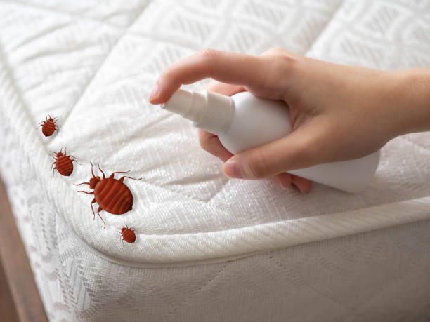 Best Exterminator Services  in Nth Bend, OR