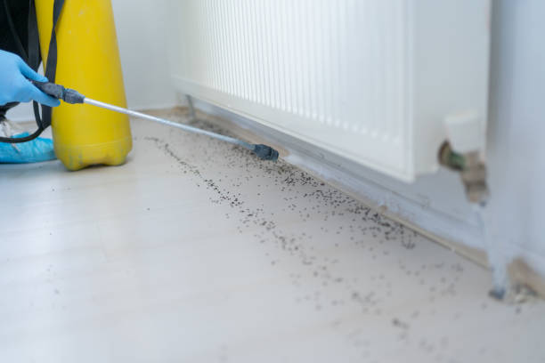 Best Pest Inspection Near Me  in Nth Bend, OR